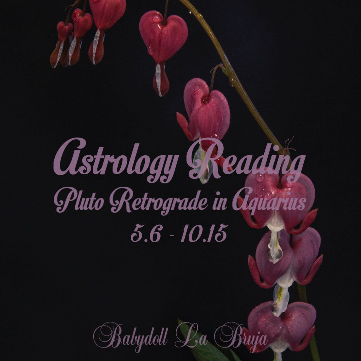 pluto retrograde in aquarius - personal astrology reading